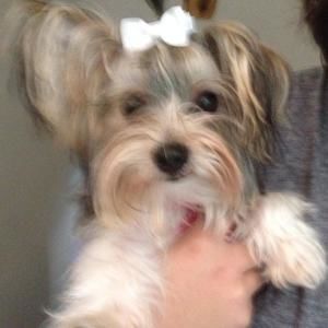 Meet your Posher, Connie